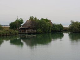2010